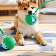 Automatic Rolling Dog Ball Toy | Smart Rechargeable Interactive Ball for Puppies & Dogs