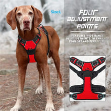 Dog Collar Harness & Leash Set | Leather Puppy Accessories for Small & Medium Dogs | Pet Walking Set