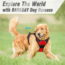 Dog Collar Harness & Leash Set | Leather Puppy Accessories for Small & Medium Dogs | Pet Walking Set
