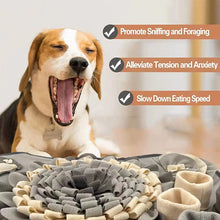 Dog Snuffle Mat Interactive Toy | Foraging & Sniff Training Puzzle Mat for Dogs