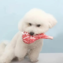 Steak & Bone Squeaky Dog Chew Toy | Bite-Resistant Plush Training Toy for Puppies & Dogs