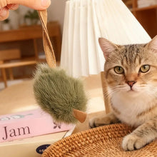 Plush Mouse Cat Toy | Interactive Squeaky Kitten Chew Toy (1–5pcs)