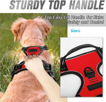 Dog Collar Harness & Leash Set | Leather Puppy Accessories for Small & Medium Dogs | Pet Walking Set