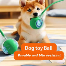 Automatic Rolling Dog Ball Toy | Smart Rechargeable Interactive Ball for Puppies & Dogs