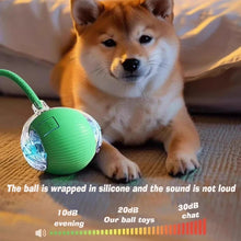 Automatic Rolling Dog Ball Toy | Smart Rechargeable Interactive Ball for Puppies & Dogs