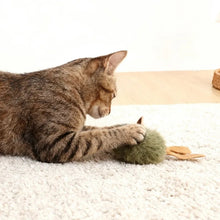 Plush Mouse Cat Toy | Interactive Squeaky Kitten Chew Toy (1–5pcs)