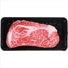 Steak & Bone Squeaky Dog Chew Toy | Bite-Resistant Plush Training Toy for Puppies & Dogs