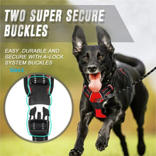 Dog Collar Harness & Leash Set | Leather Puppy Accessories for Small & Medium Dogs | Pet Walking Set
