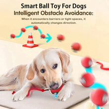 Automatic Rolling Dog Ball Toy | Smart Rechargeable Interactive Ball for Puppies & Dogs