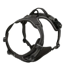 Dog Collar Harness & Leash Set | Leather Puppy Accessories for Small & Medium Dogs | Pet Walking Set
