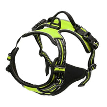 Dog Collar Harness & Leash Set | Leather Puppy Accessories for Small & Medium Dogs | Pet Walking Set