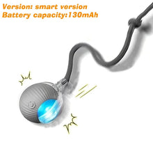 Automatic Rolling Dog Ball Toy | Smart Rechargeable Interactive Ball for Puppies & Dogs