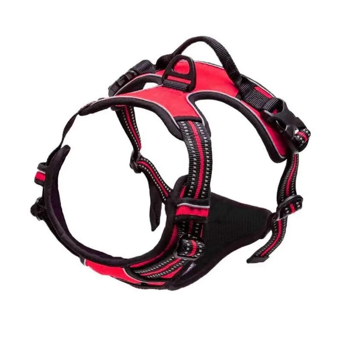 Dog Collar Harness & Leash Set | Leather Puppy Accessories for Small & Medium Dogs | Pet Walking Set
